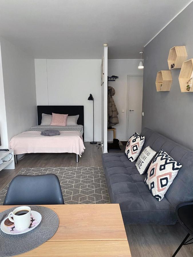 Scandinavian Home 17 City Center Tyoemiehenkatu 2B 赫尔辛基 外观 照片